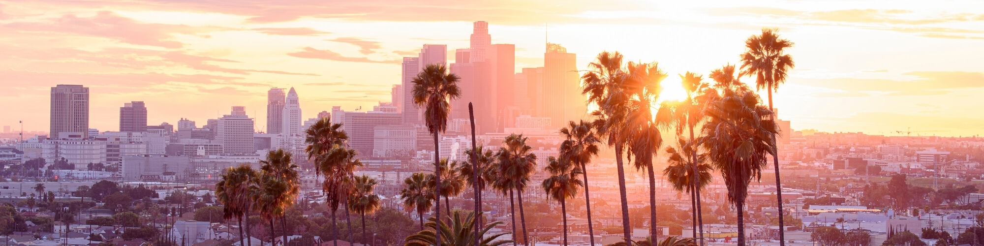 horizontal los angeles visionary